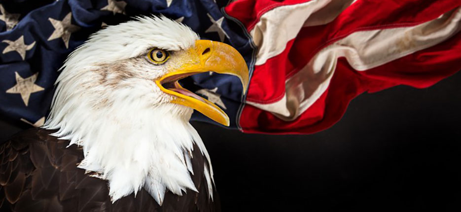 VSO-About-Us--857708926-cropped